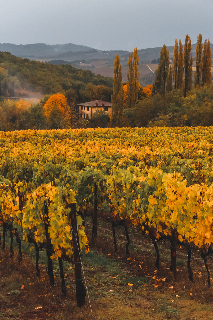 WHERE TO SEE FOLIAGE IN TUSCANY